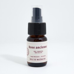 Rose ancienne