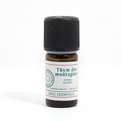 Thym des montagnes