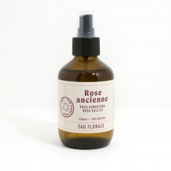Rose ancienne