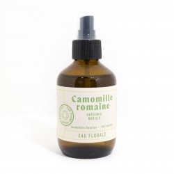Camomille romaine